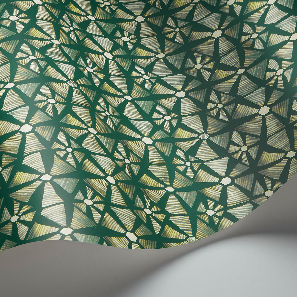 Kalahari - Fr Grn&Rcngcr Grn - Cole & Son Wallpaper
