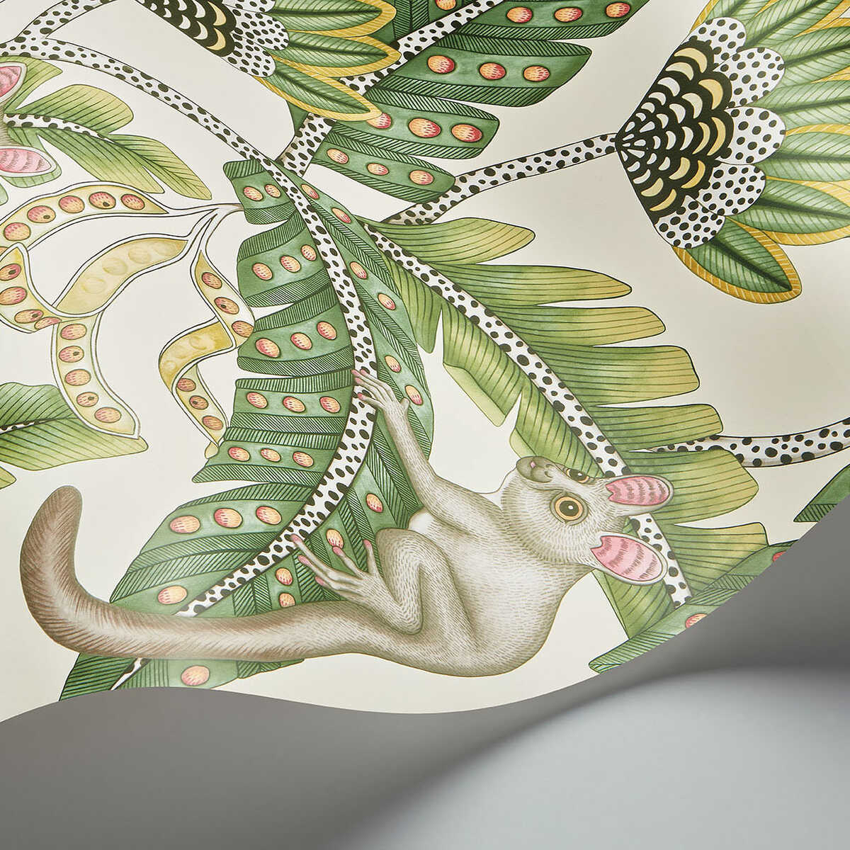 Bush Baby - Sge&Chrt/Prchmnt - COLE & SON Wallpaper