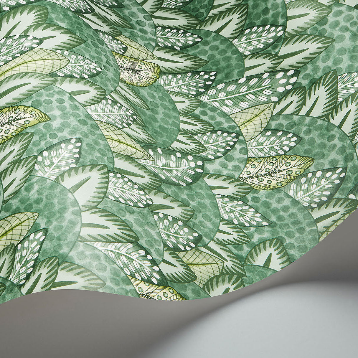 Zulu Terrain - Frstgrn&Olvgrn - Cole & Son Wallpaper