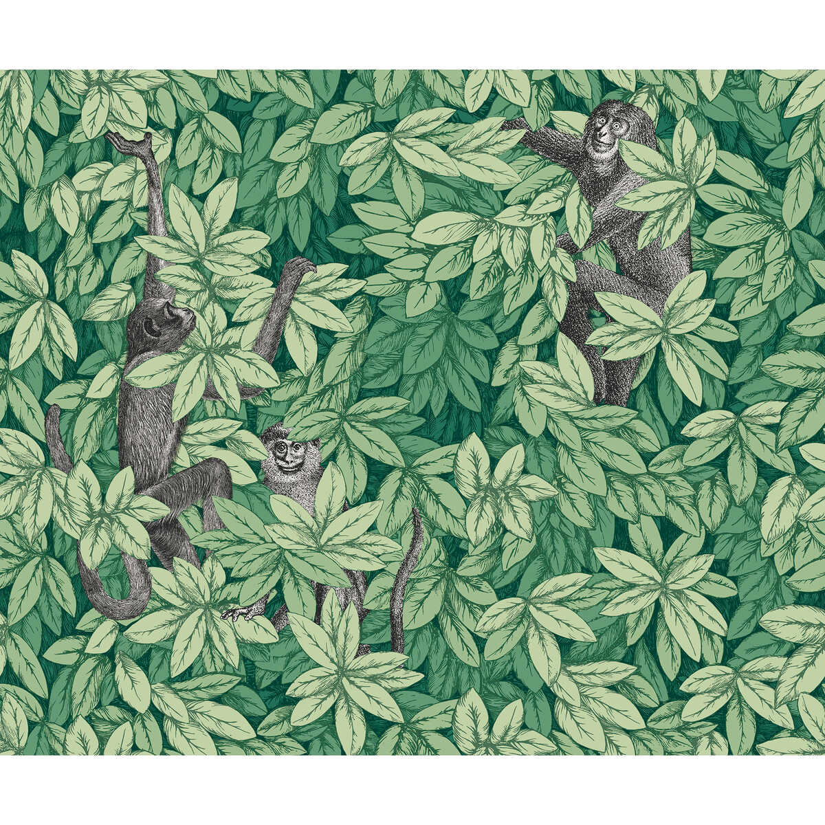 Foglie E Scimmie - Green - COLE & SON Wallpaper