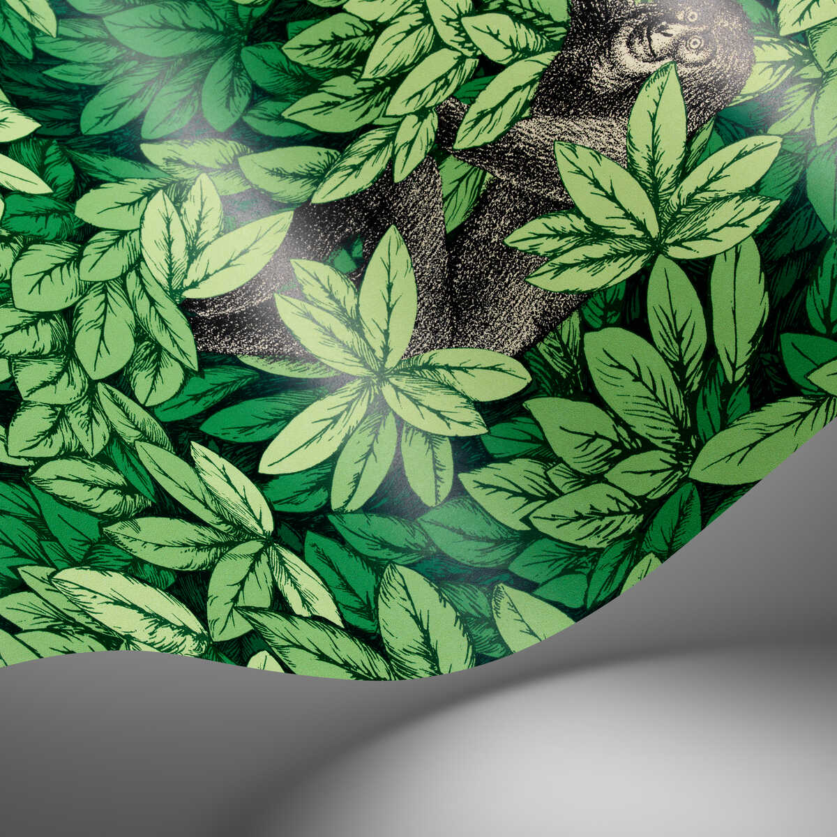 Foglie E Scimmie - Green - COLE & SON Wallpaper