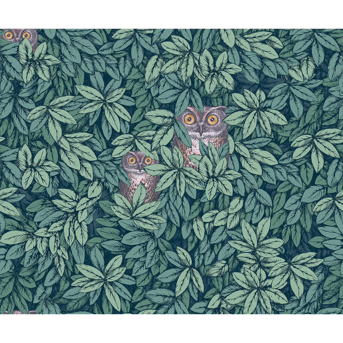 Foglie E Civette - Viridian - COLE & SON Wallpaper