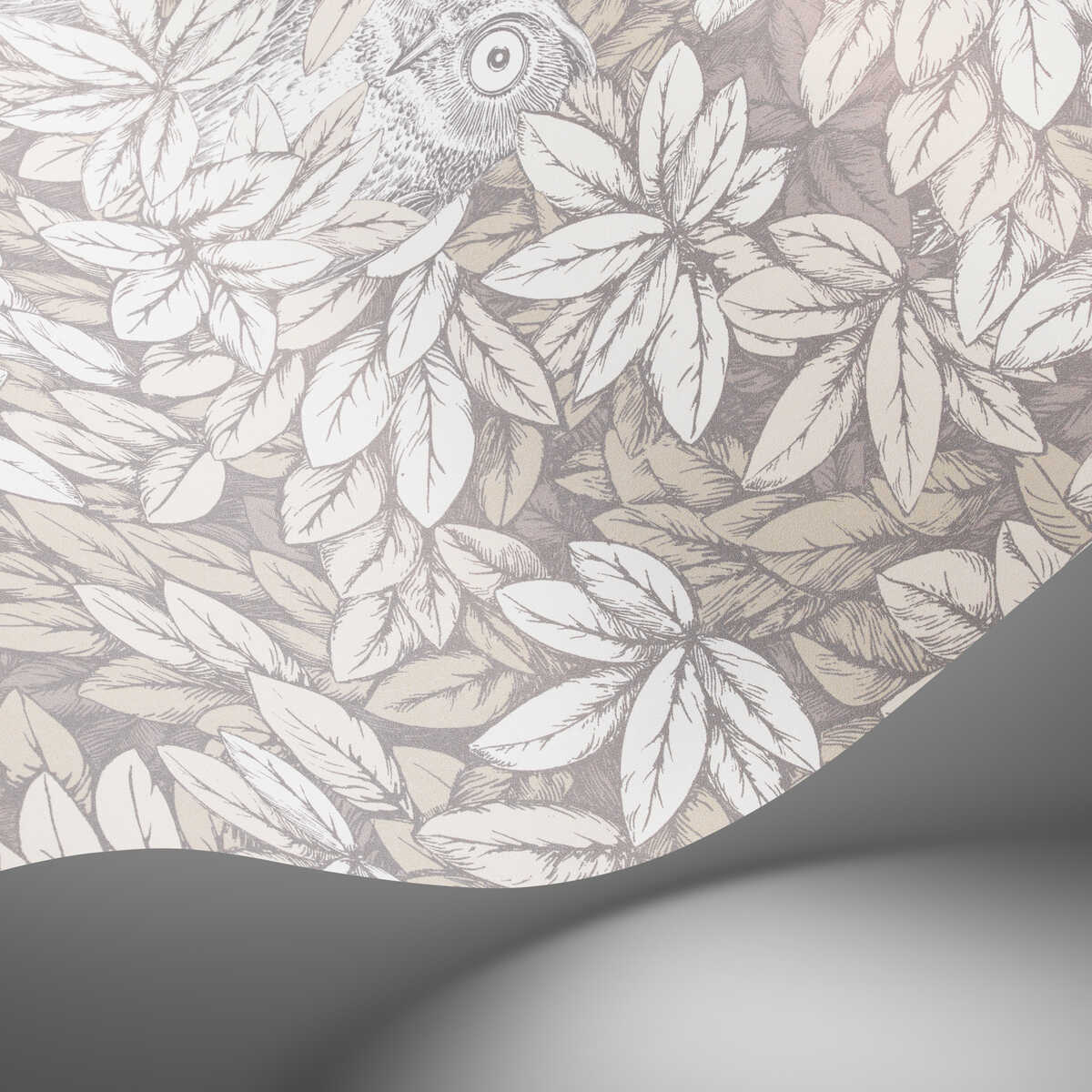 Foglie E Civette - White - COLE & SON Wallpaper