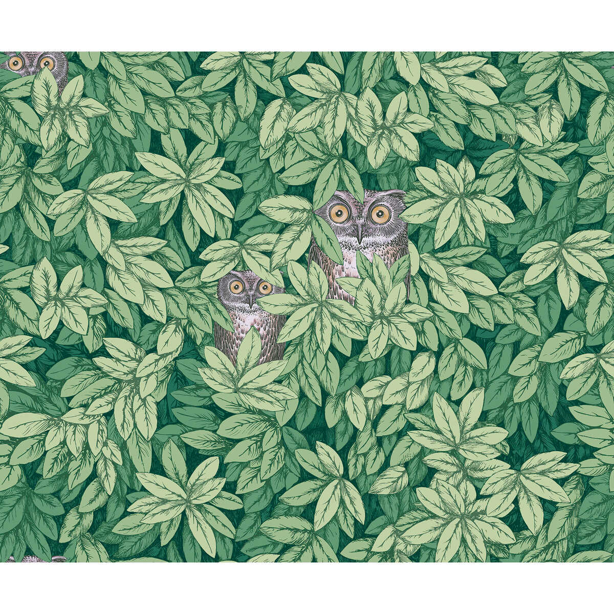 Foglie E Civette - Green - COLE & SON Papel pintado