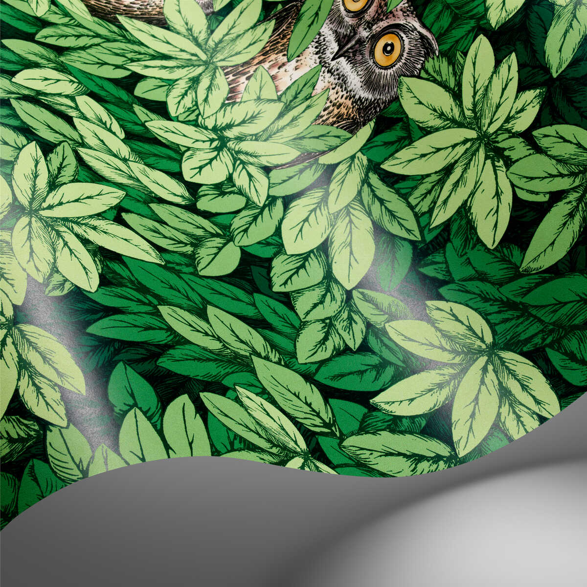 Foglie E Civette - Green - COLE & SON Papel pintado