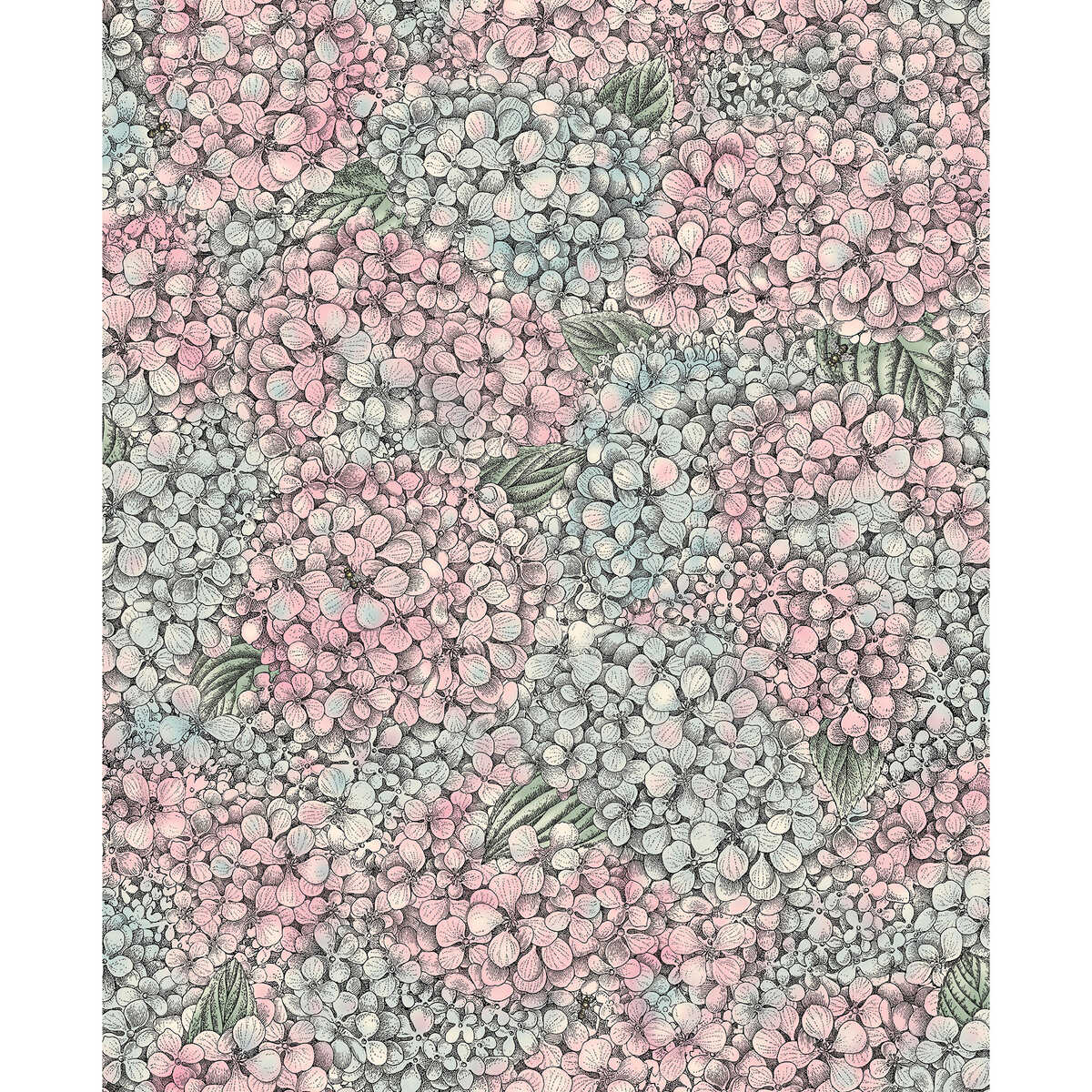 Ortensia - Pink & Blue - COLE & SON Wallpaper
