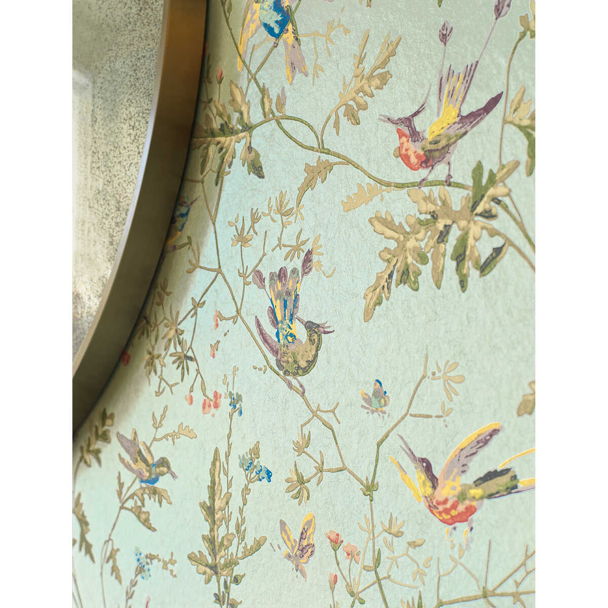 Hummingbirds - Spa/Multi - COLE & SON Wallpaper