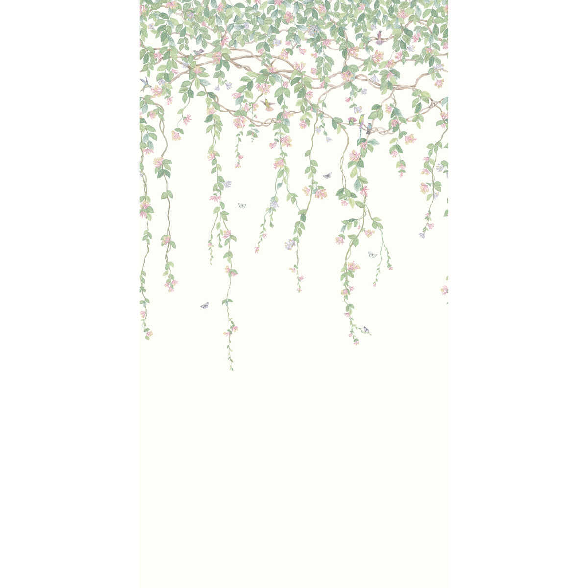 Hummingbirds Flora - Blush - COLE & SON Wallpaper