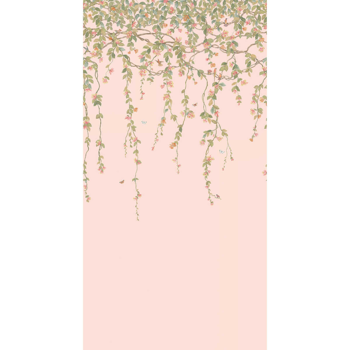 Hummingbirds Flora - Pink - COLE & SON Wallpaper