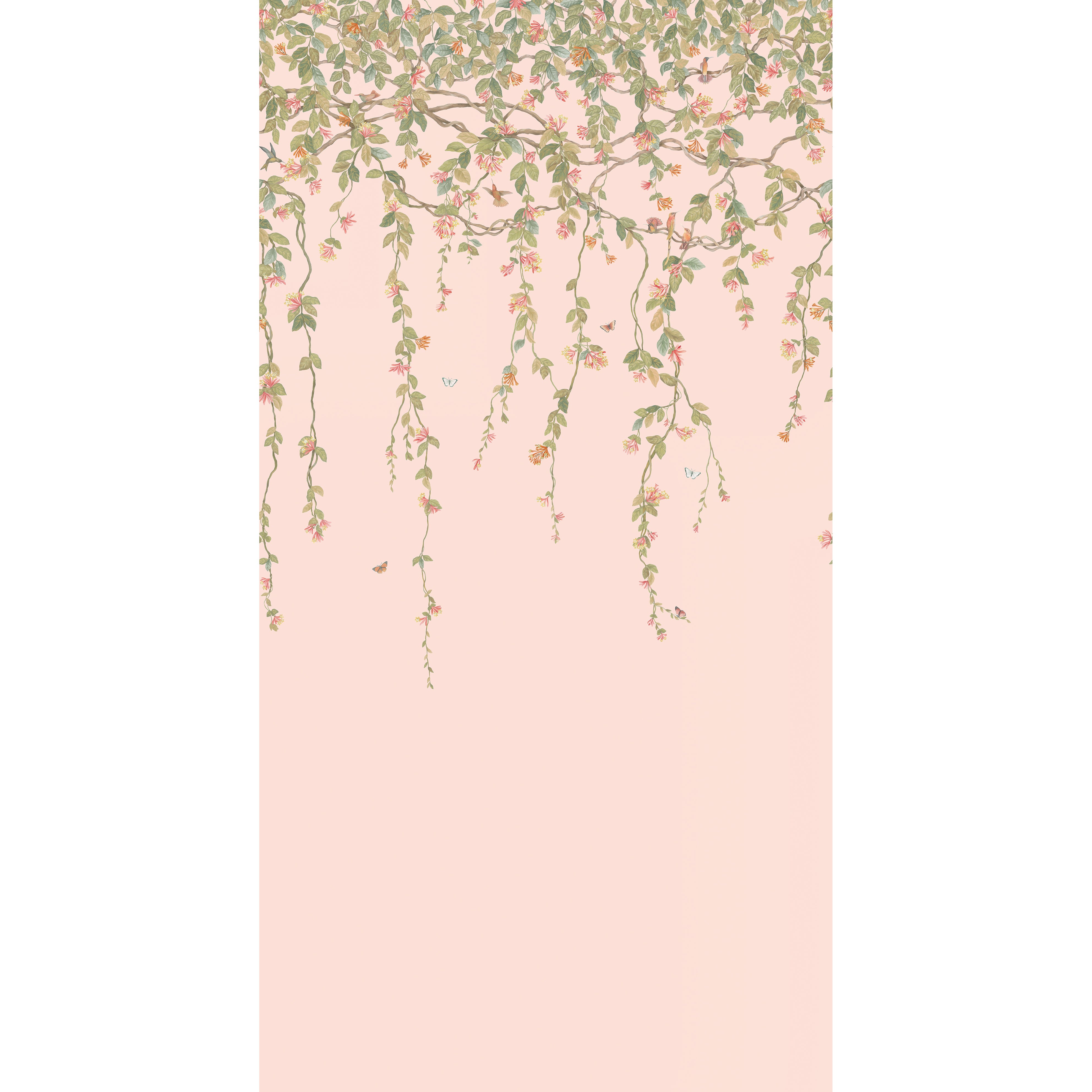 Hummingbirds Flora - Pink - Cole & Son Wallpaper
