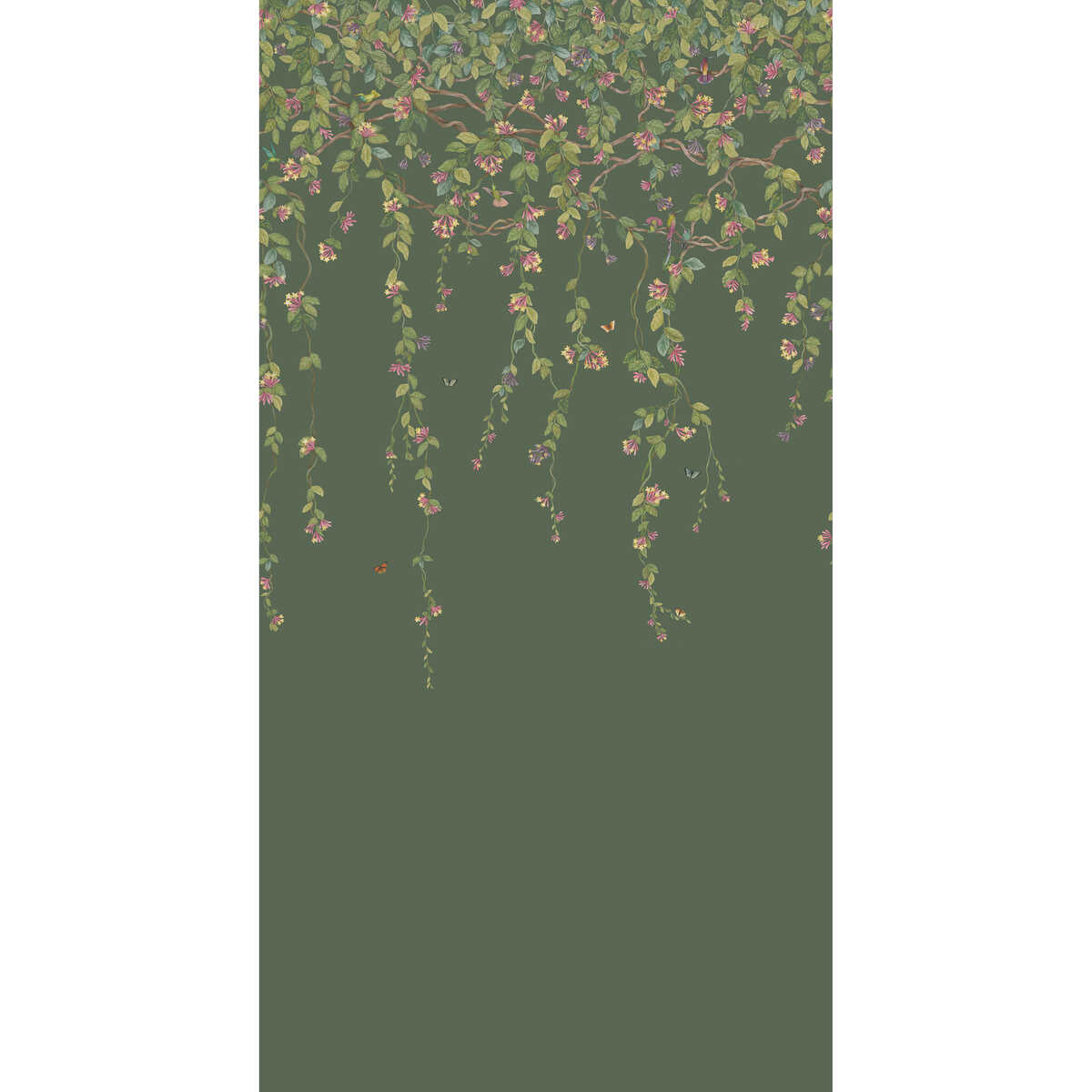 Hummingbirds Flora - Sage - COLE & SON Wallpaper