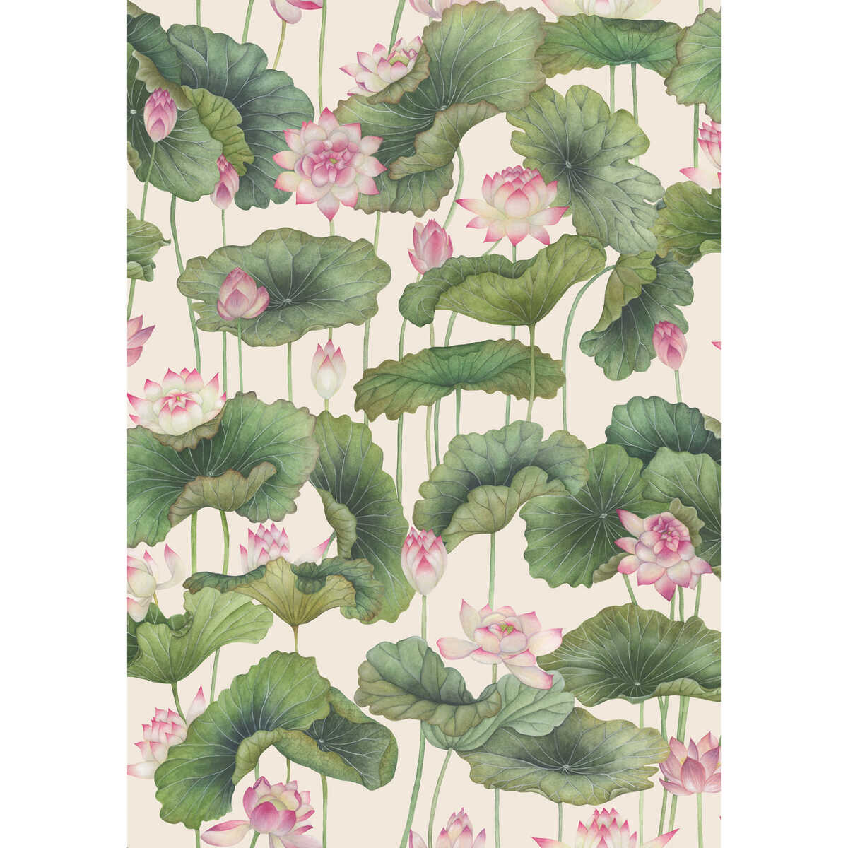Lily Lotus - Pink - COLE & SON Wallpaper