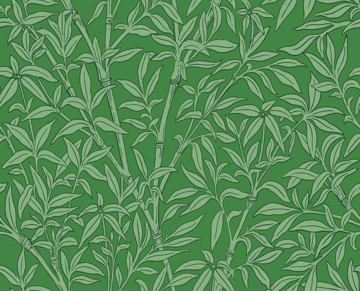 Bamboo Forest - Emerald - COLE & SON Wallpaper
