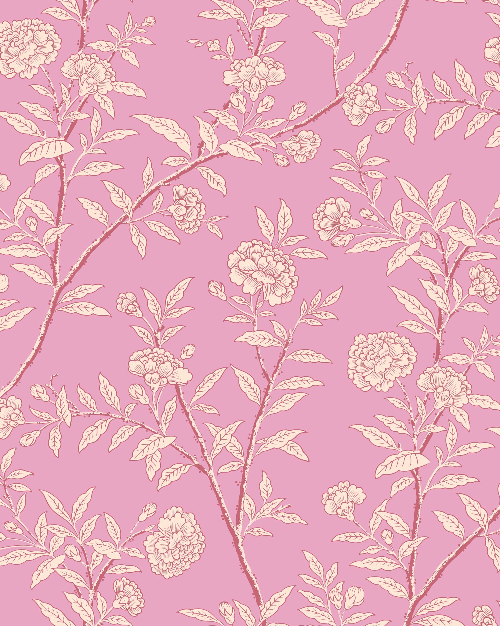 Roseberry - Fuchsia - Cole & Son Wallpaper
