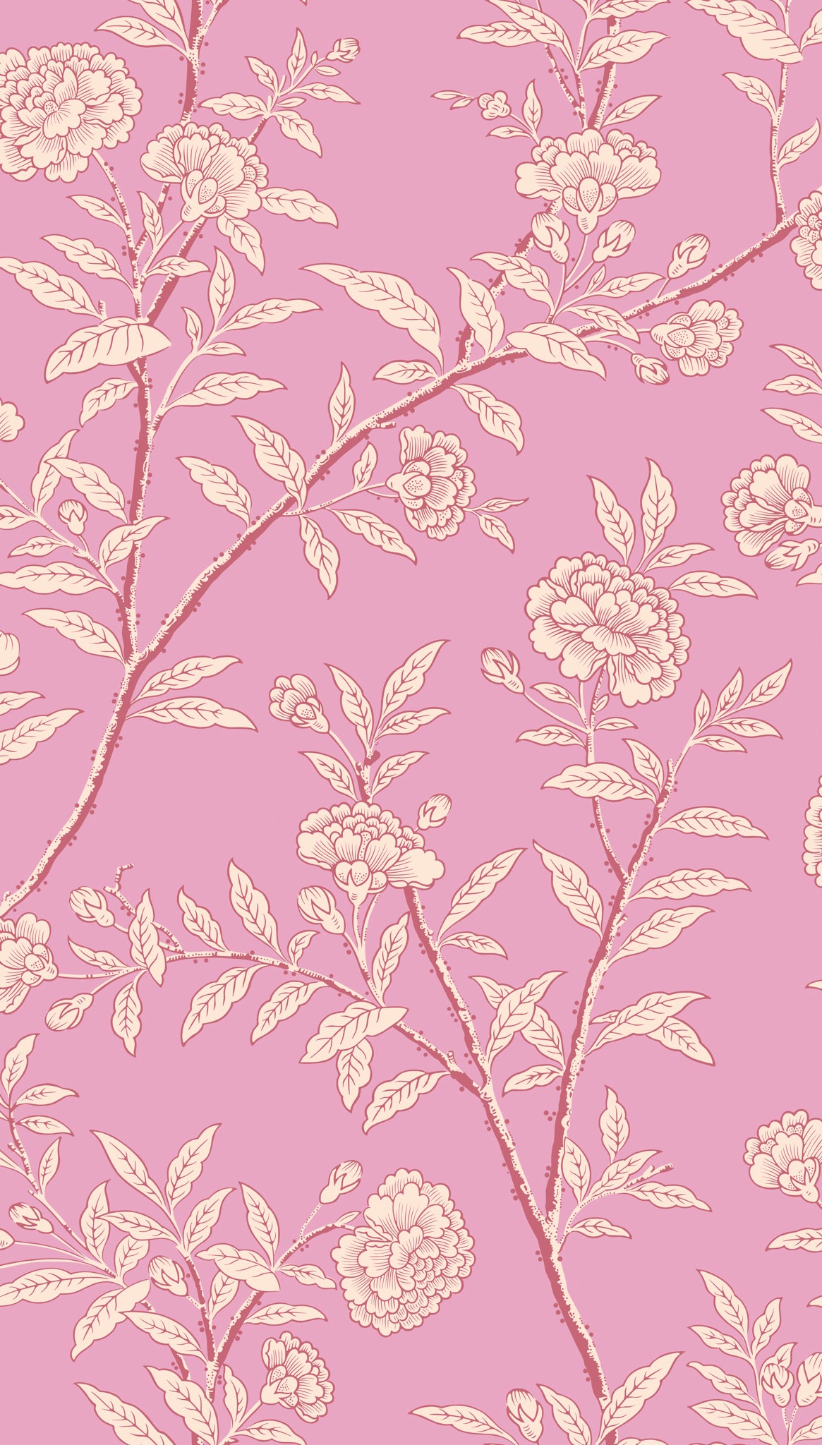 Roseberry - Fuchsia - Cole & Son Wallpaper
