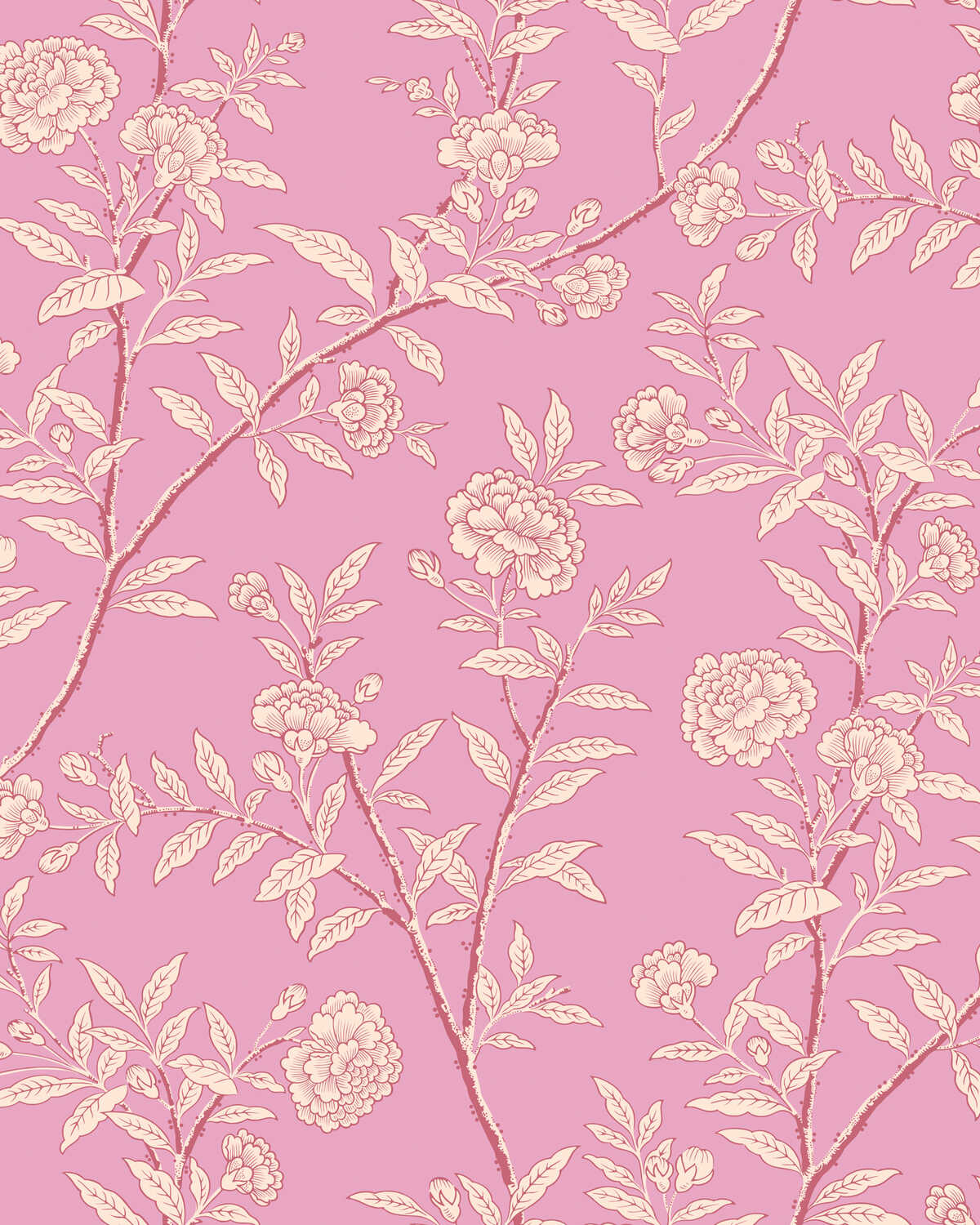 Roseberry - Fuchsia
