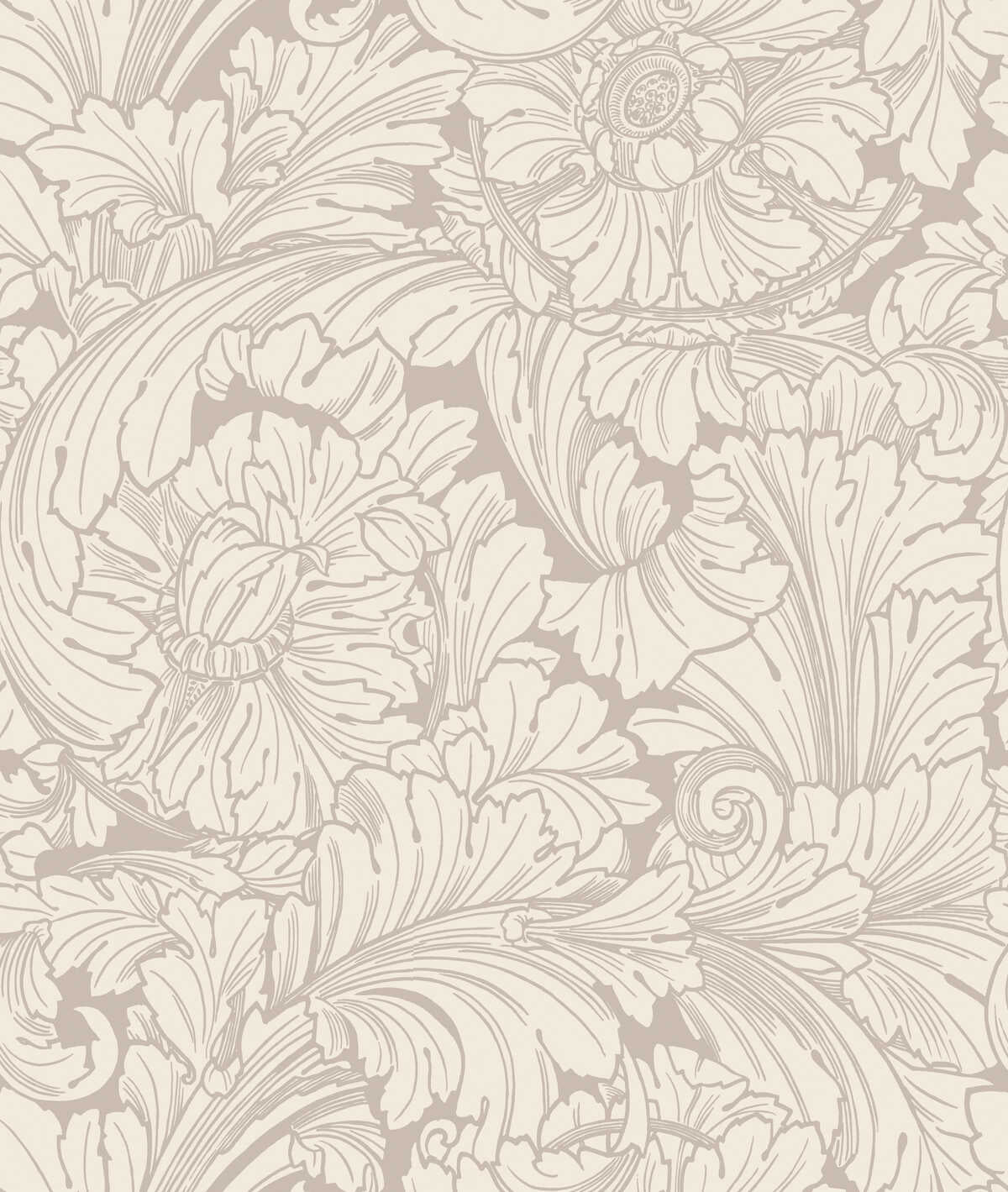 Acanthus - Cream/Pebble - COLE & SON Wallpaper