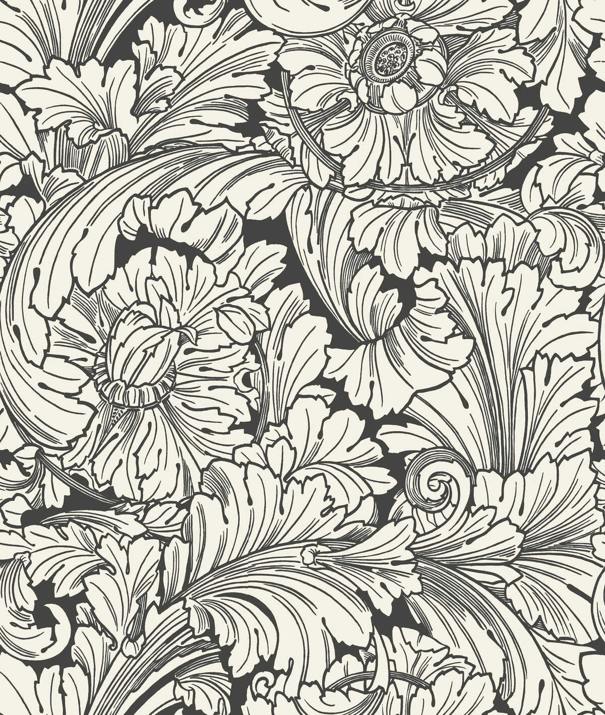 Acanthus - Soot/Snow - COLE & SON Wallpaper