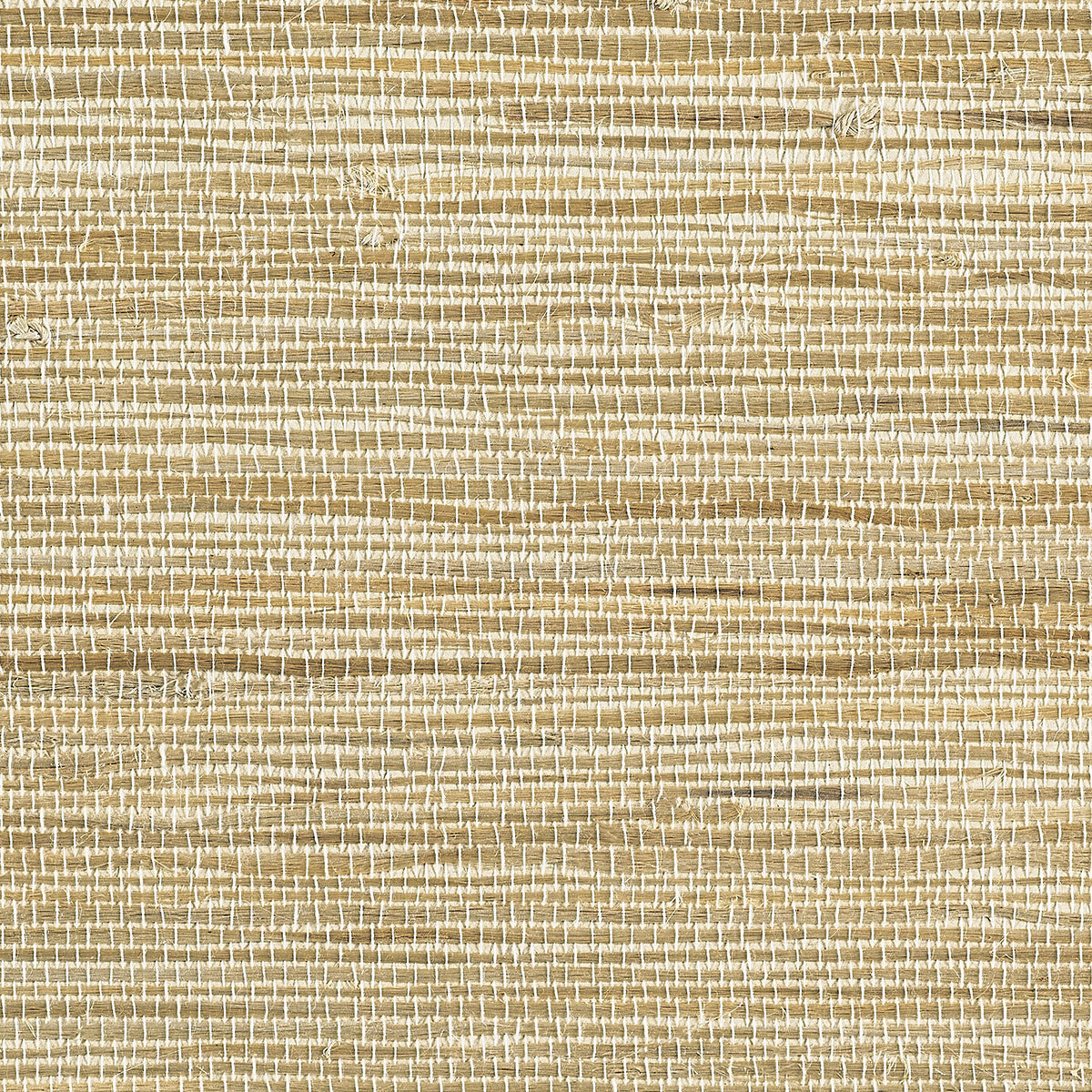 JUICY-JUTE-BLEACH-PHILLIP-JEFFRIES-1978