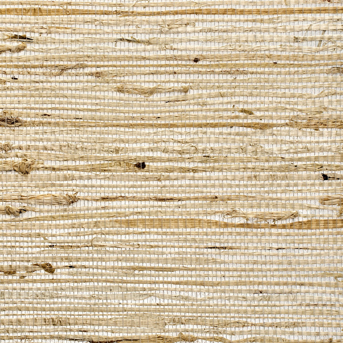 EXTRA-FINE-ARROWROOT-SILVER-JUXTAPOZ-PHILLIP-JEFFRIES-3844