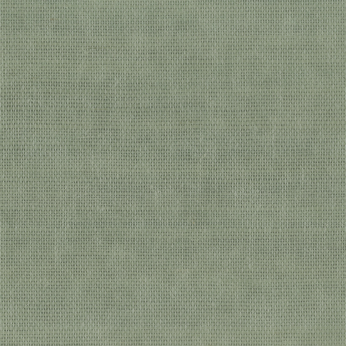 GLIMMERING-GRASS-SAGE-ON-GLAM-GRASS-PHILLIP-JEFFRIES-37106 - Phillip Jeffries Wallpaper Wallcovering