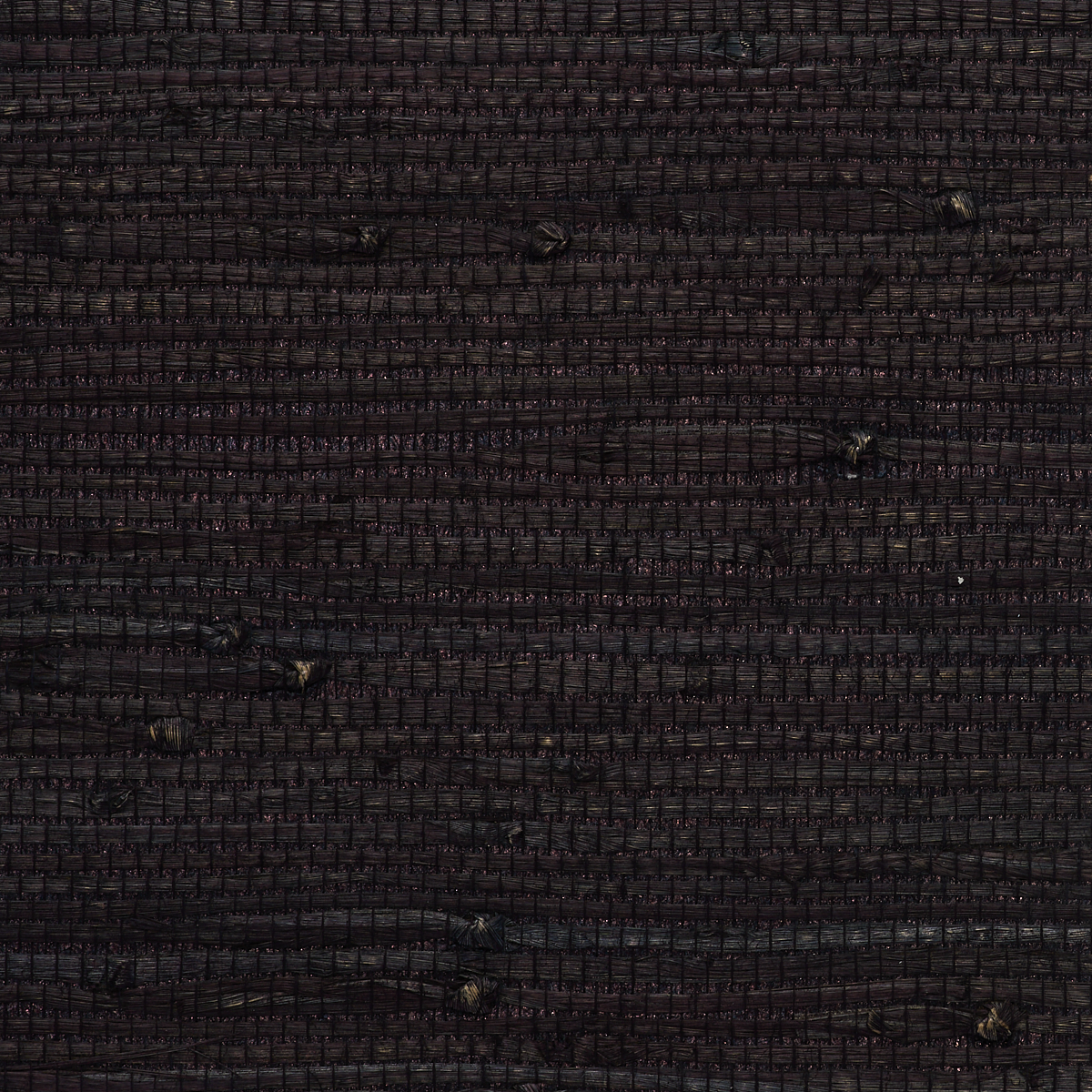 GALLANT-GRASSES-BLACK-SWAN-PHILLIP-JEFFRIES-9045 - Phillip Jeffries Wallpaper Papel pintado