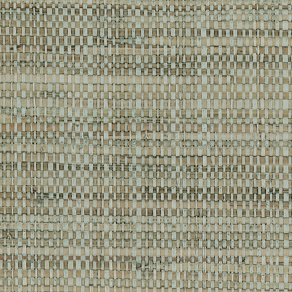 ARROYO-RAFFIA-CACTUS-SHADE-PHILLIP-JEFFRIES-41204 - Phillip Jeffries Wallpaper Wallpaper