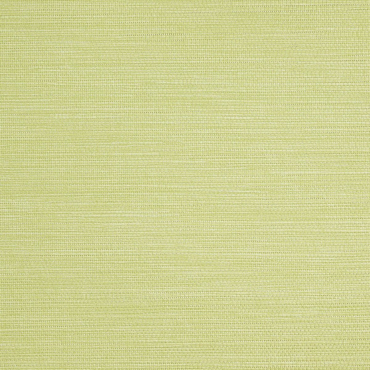 PJ-COLOR-SPLASH-KEY-LIME-PHILLIP-JEFFRIES-9739