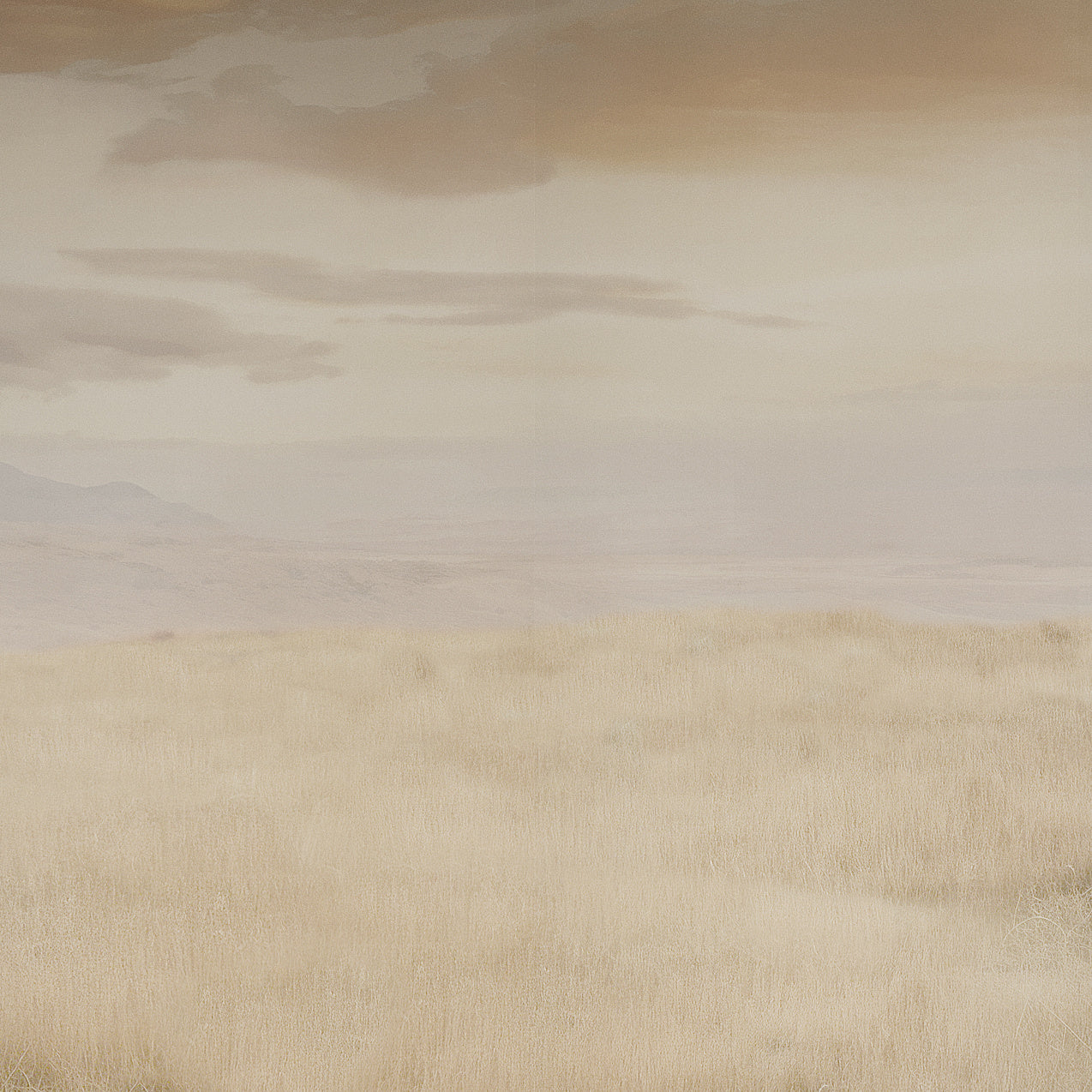 RANGE-DUSK-ON-SUEDE-LOUNGE-PHILLIP-JEFFRIES-10649 - Phillip Jeffries Wallpaper Wallcovering