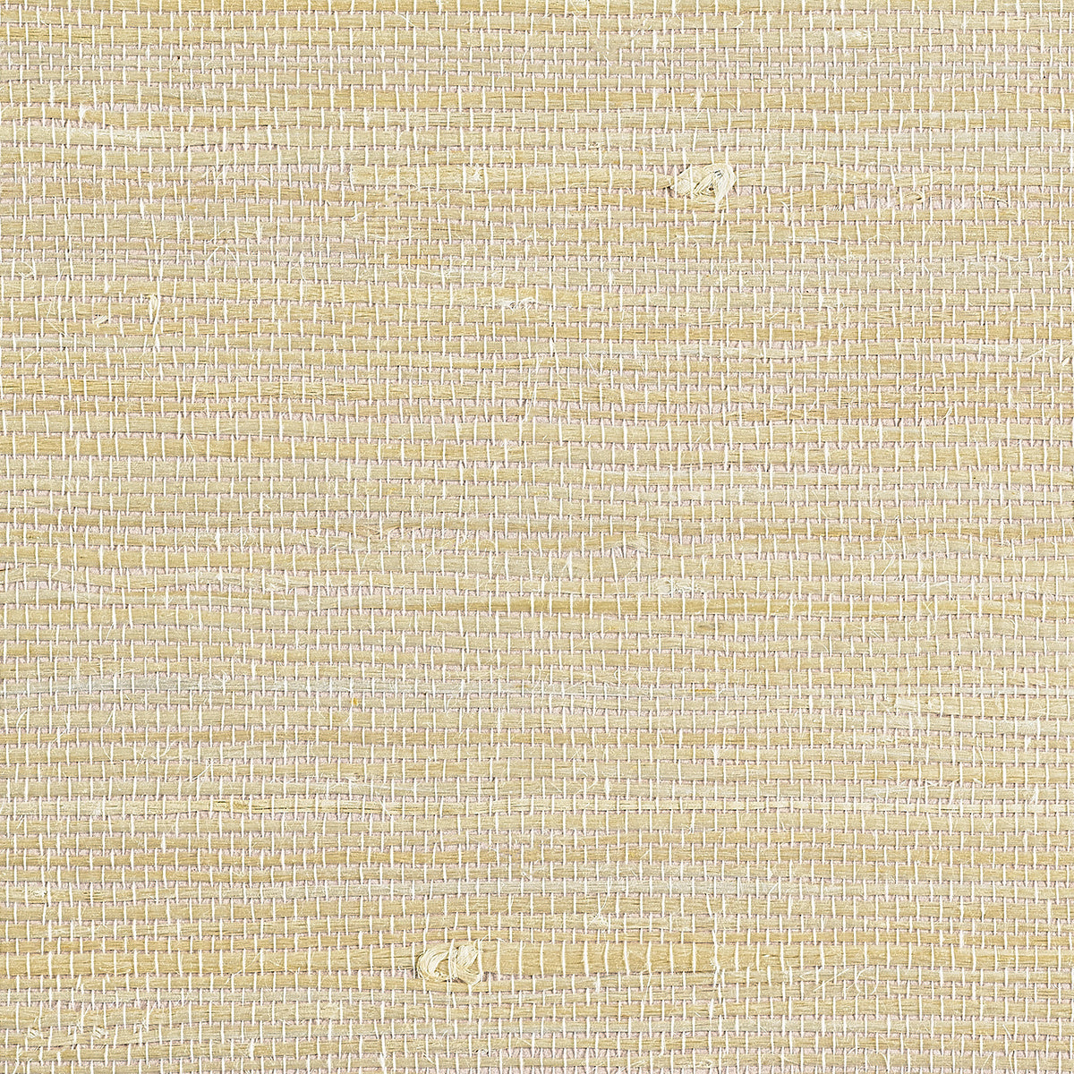 JUICY-JUTE-HIBISCUS-PHILLIP-JEFFRIES-4770