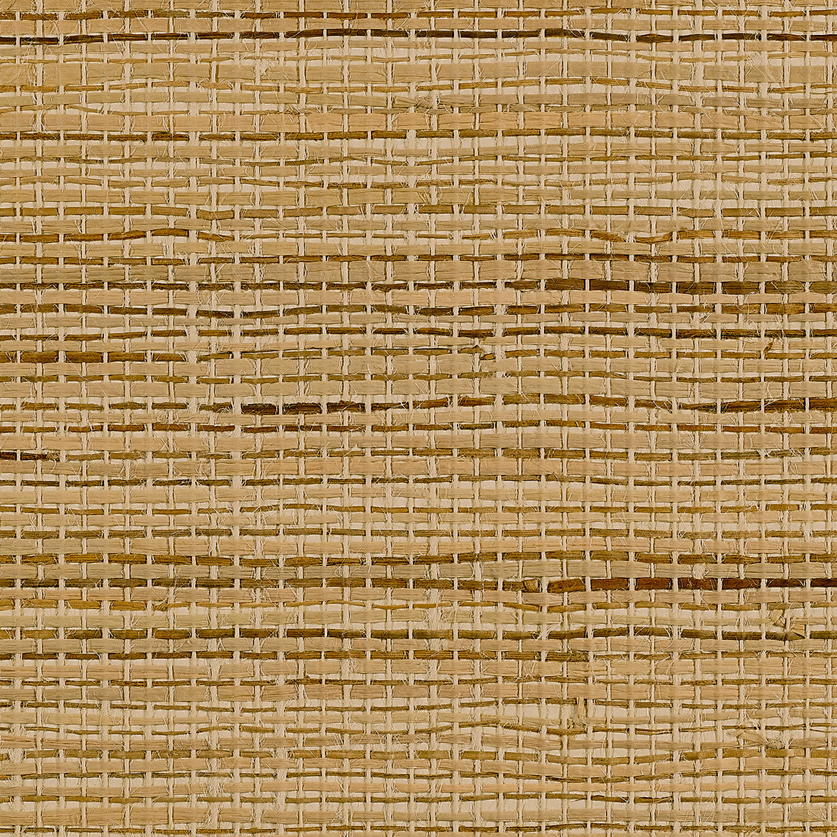 Riviera Raffia Natural Breeze - Phillip Jeffries 21900