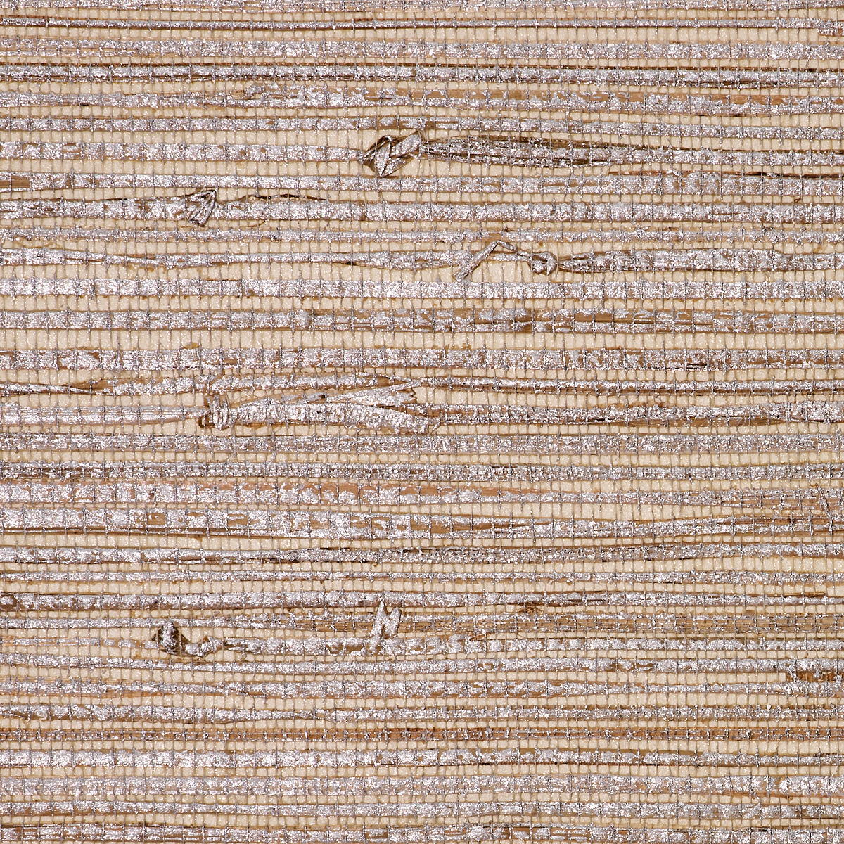 SHORELINE-GRASS-WARM-SILVER-PHILLIP-JEFFRIES-2806