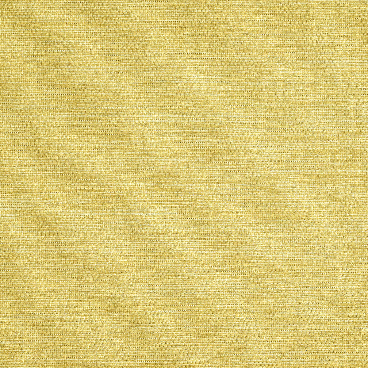 PJ-COLOR-SPLASH-SUNSHINE-PHILLIP-JEFFRIES-9734 - Phillip Jeffries Wallpaper Wallpaper