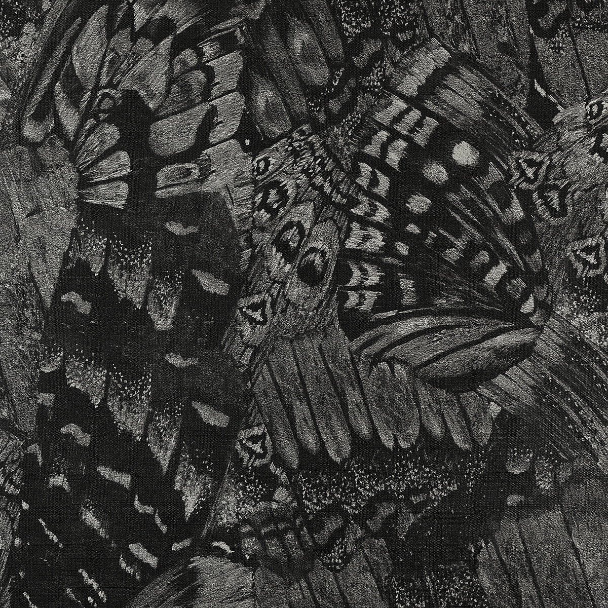 AFLUTTER-BUZZING-BLACK-ON-VINYL-CANVAS-PHILLIP-JEFFRIES-9838 - Phillip Jeffries Wallpaper Wallcovering