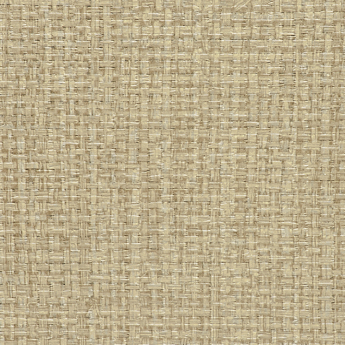 VINYL-GRASSLAND-TAUPE-PHILLIP-JEFFRIES-5972