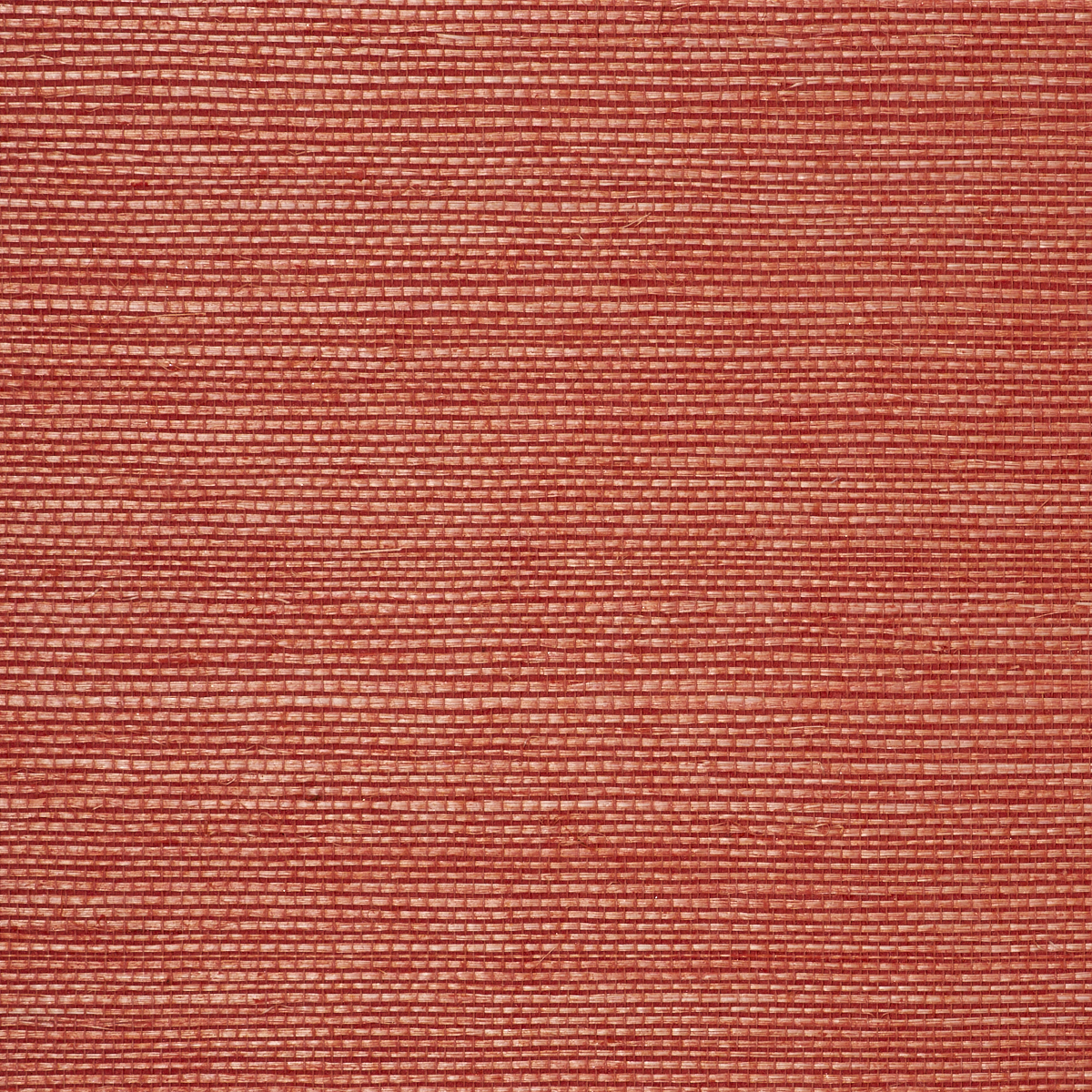 MANILA-HEMP-CORALISTA-PHILLIP-JEFFRIES-5411