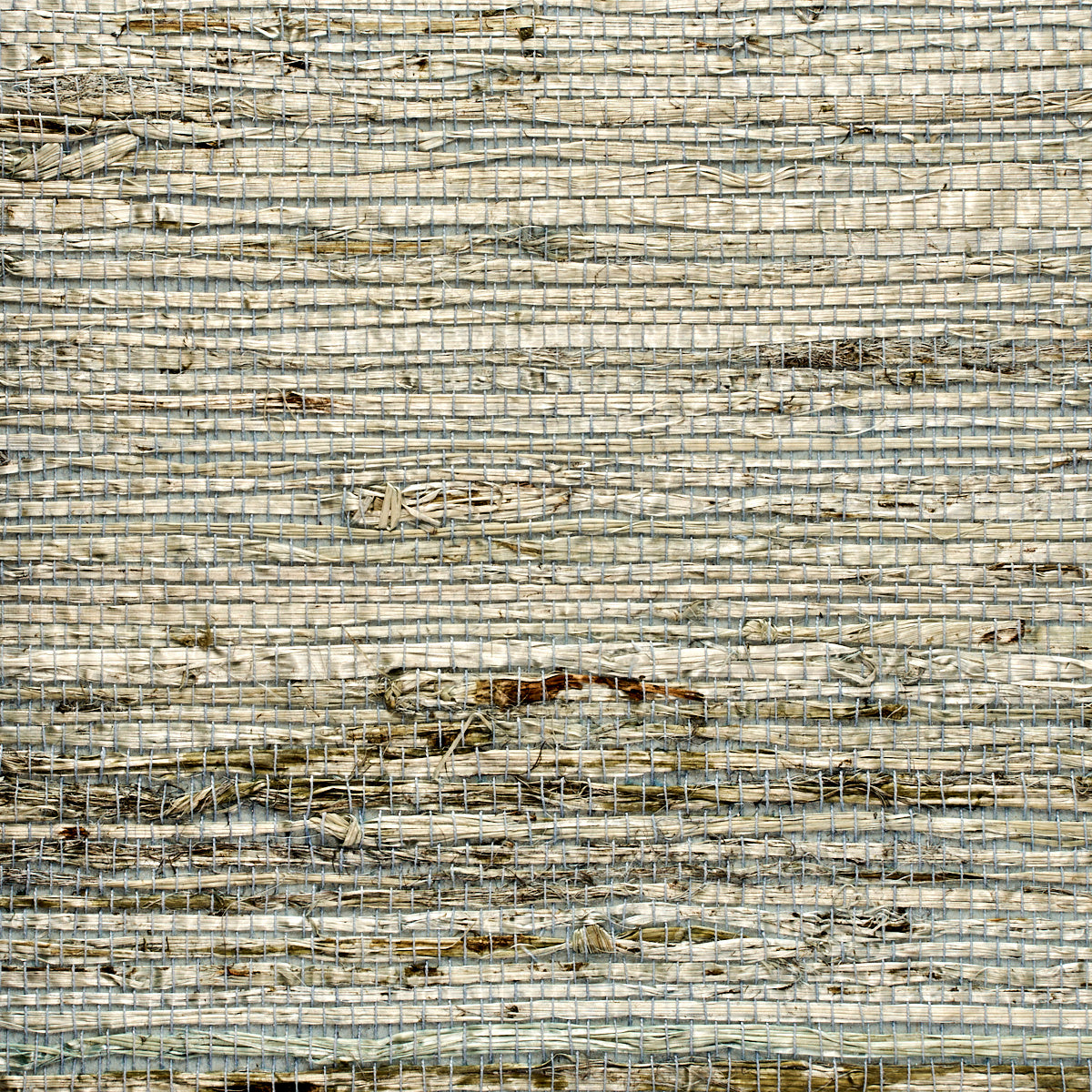 EXTRA-FINE-ARROWROOT-SOLITUDE-PHILLIP-JEFFRIES-3841 - Phillip Jeffries Wallpaper Wallpaper