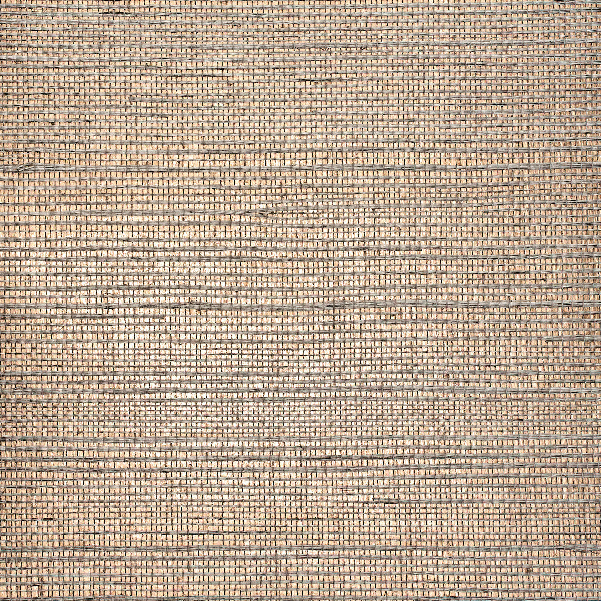 GLAM-GRASS-WELL-TRAVELED-TAUPE-PHILLIP-JEFFRIES-1942 - Phillip Jeffries Wallpaper Wallpaper
