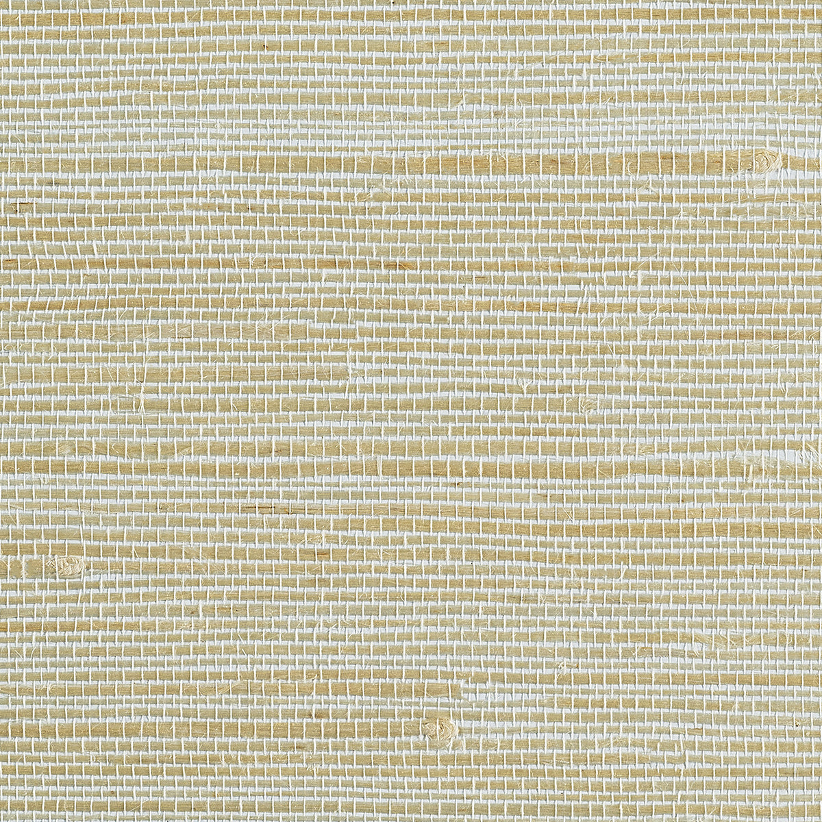 JUICY-JUTE-RAINWASHED-PHILLIP-JEFFRIES-4762