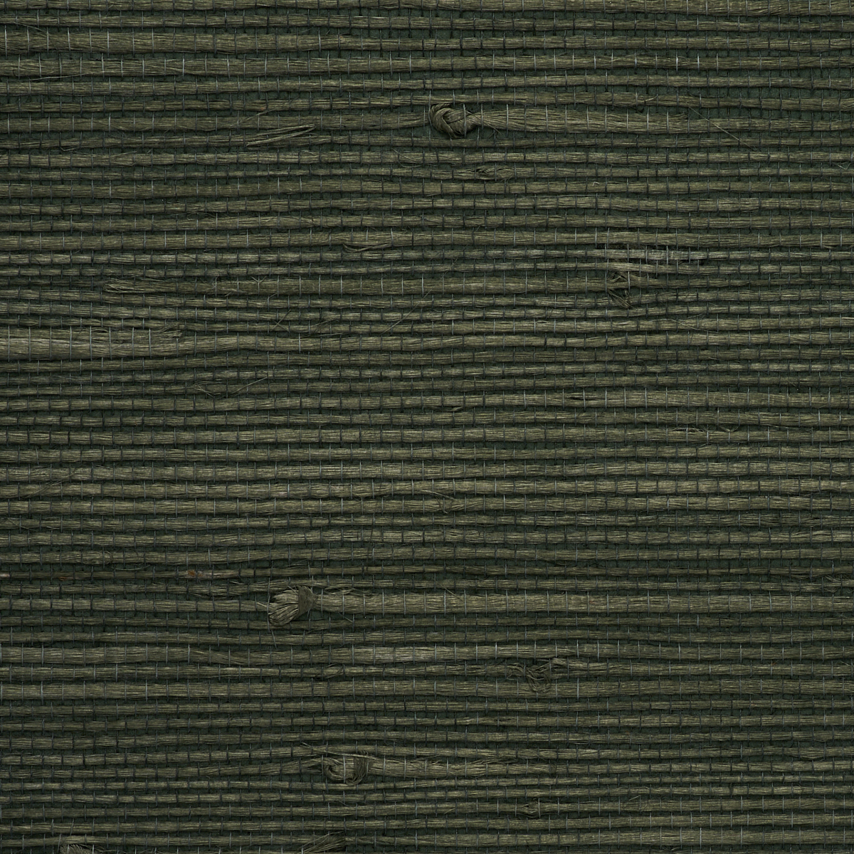 JUICY-JUTE-RACING-GREEN-PHILLIP-JEFFRIES-4773
