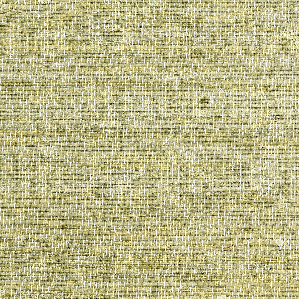 JUICY-JUTE-MATCHA-TEA-PHILLIP-JEFFRIES-4771