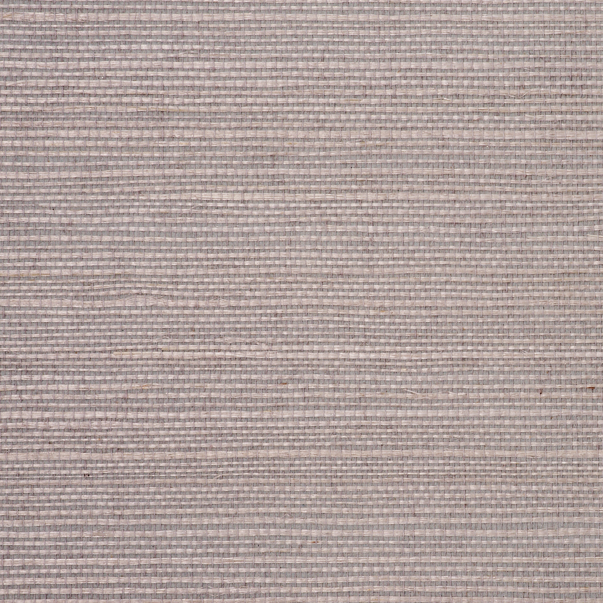 MANILA-HEMP-BLISS-PHILLIP-JEFFRIES-5235
