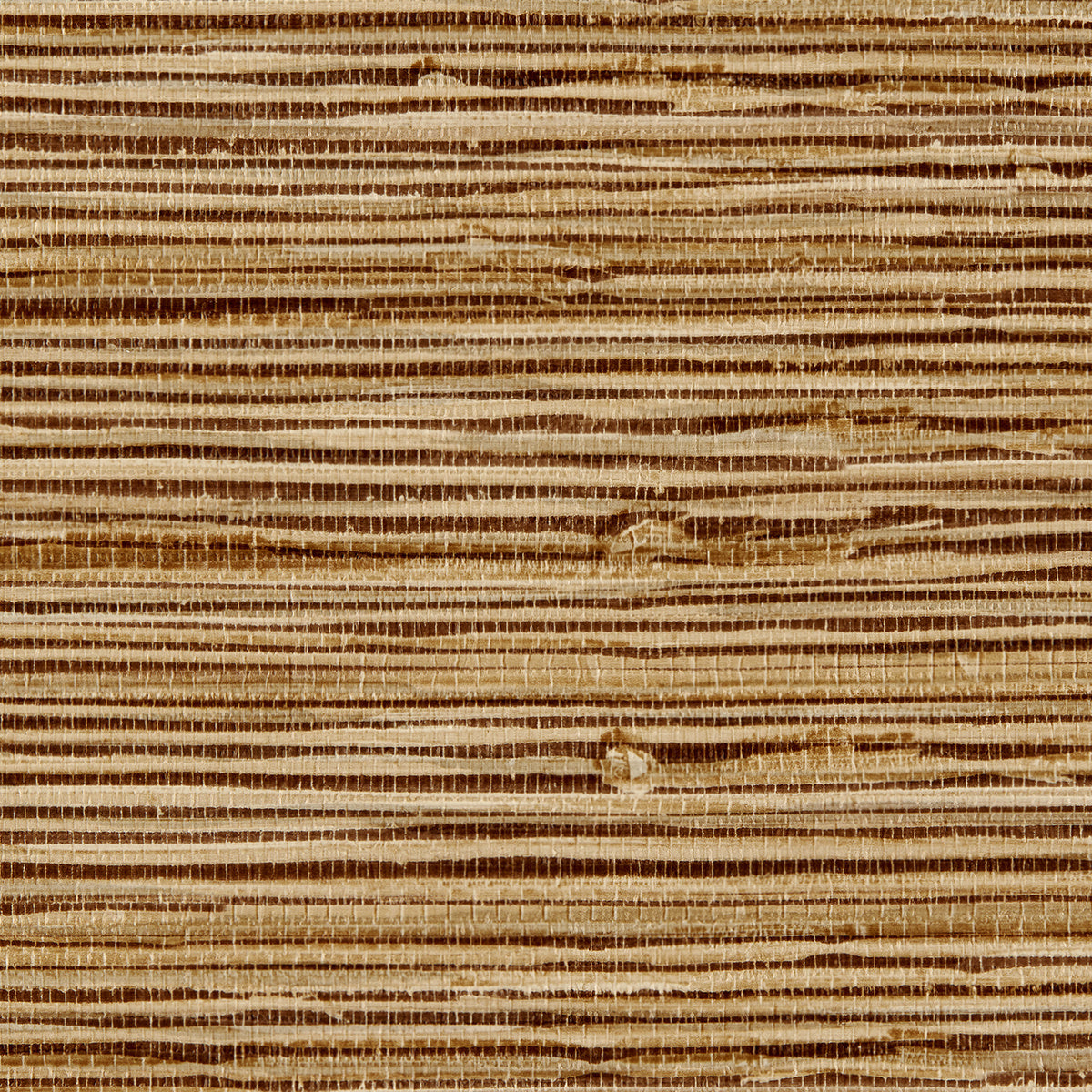VINYL-GRASS-ROOTS-ERICS-ECRU-PHILLIP-JEFFRIES-8025 - Phillip Jeffries Wallpaper Wallcovering