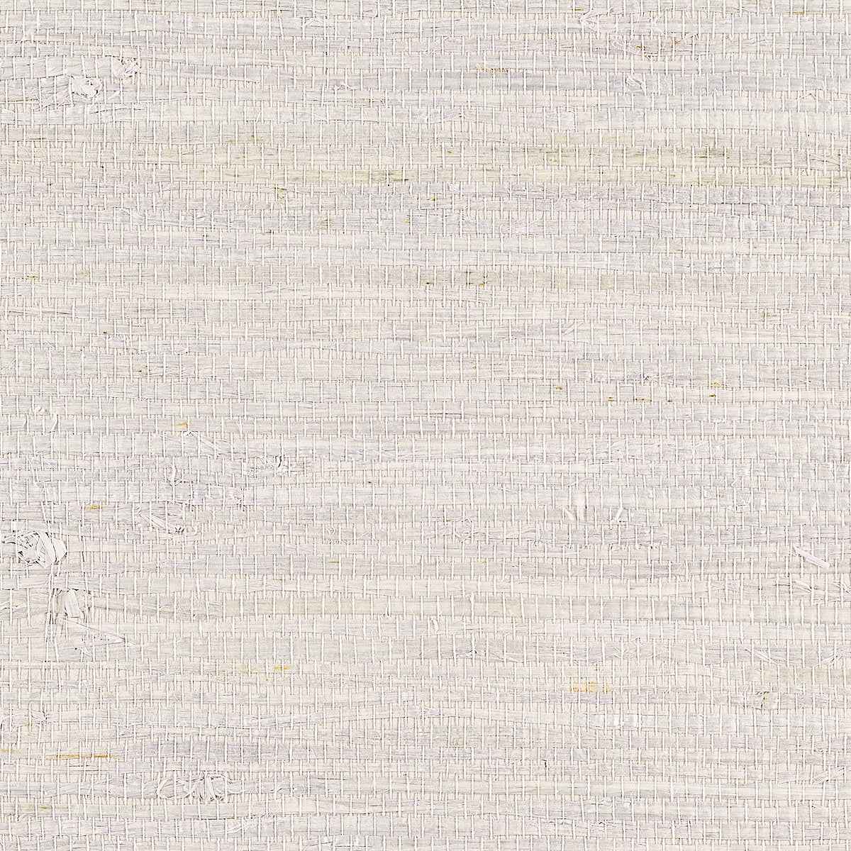 EXTRA-FINE-ARROWROOT-LAVENDER-PHILLIP-JEFFRIES-10803