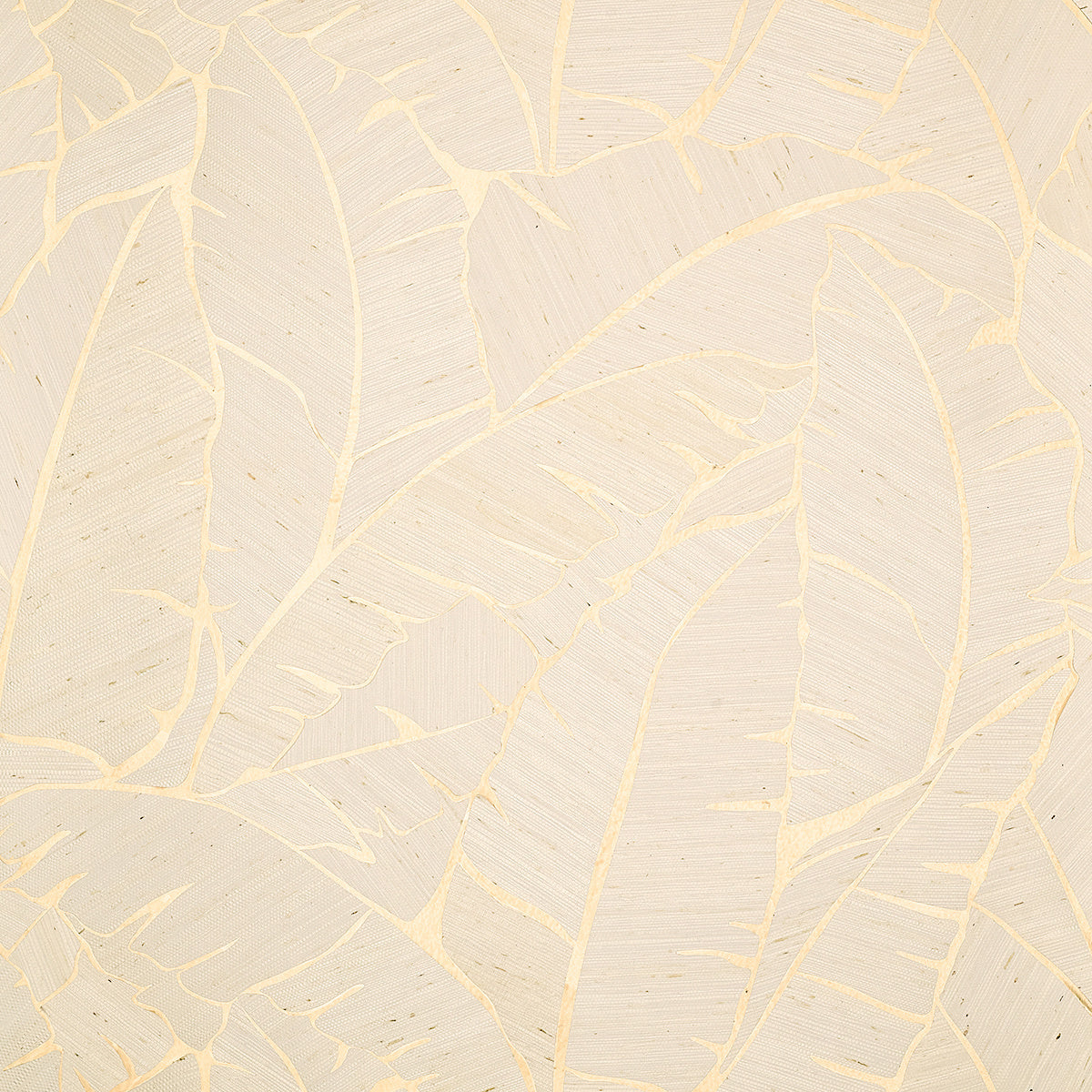 PALM-PARADISE-SERENITY-SANDS-PHILLIP-JEFFRIES-10562 - Phillip Jeffries Wallpaper Wallcovering