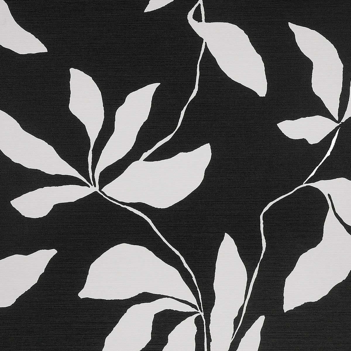 DESERT-IVY-BLACK-VEIL-ON-WOVEN-WALLS-PHILLIP-JEFFRIES-40207 - Phillip Jeffries Wallpaper Wallpaper