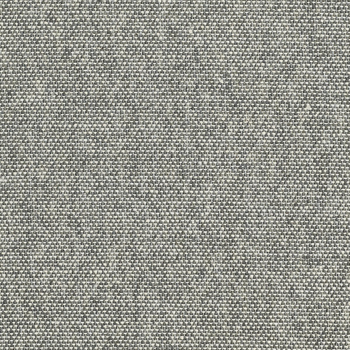 TWEED-DONEGAL-GREY-PHILLIP-JEFFRIES-5456