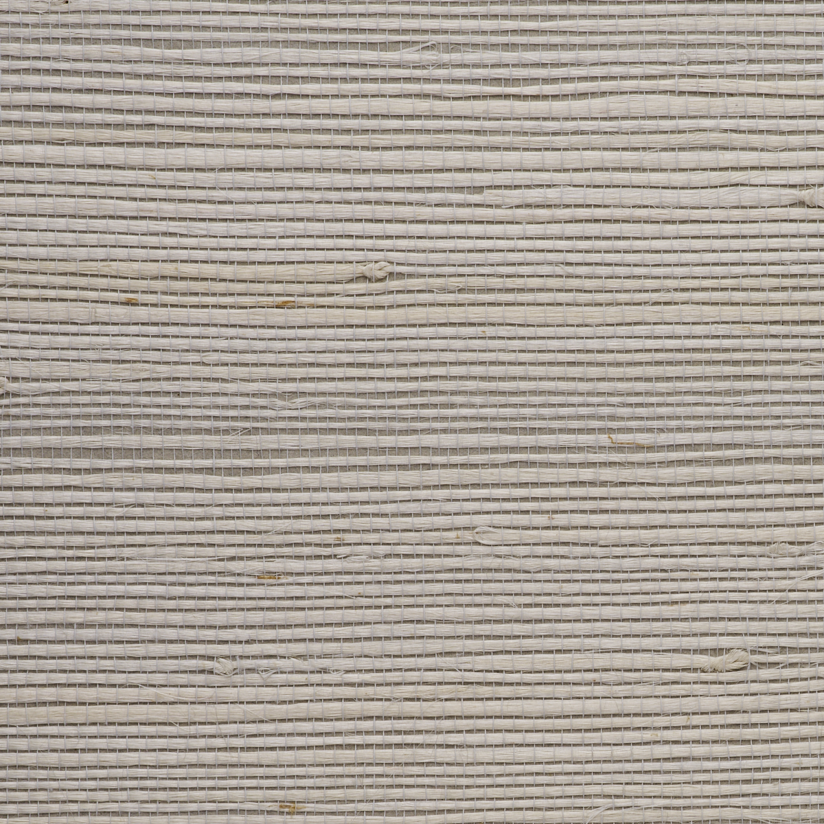 JUICY-JUTE-RAINWASHED-PHILLIP-JEFFRIES-4762
