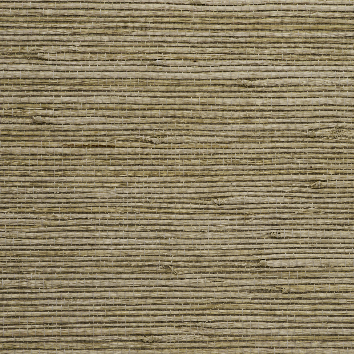 JUICY-JUTE-MATCHA-TEA-PHILLIP-JEFFRIES-4771
