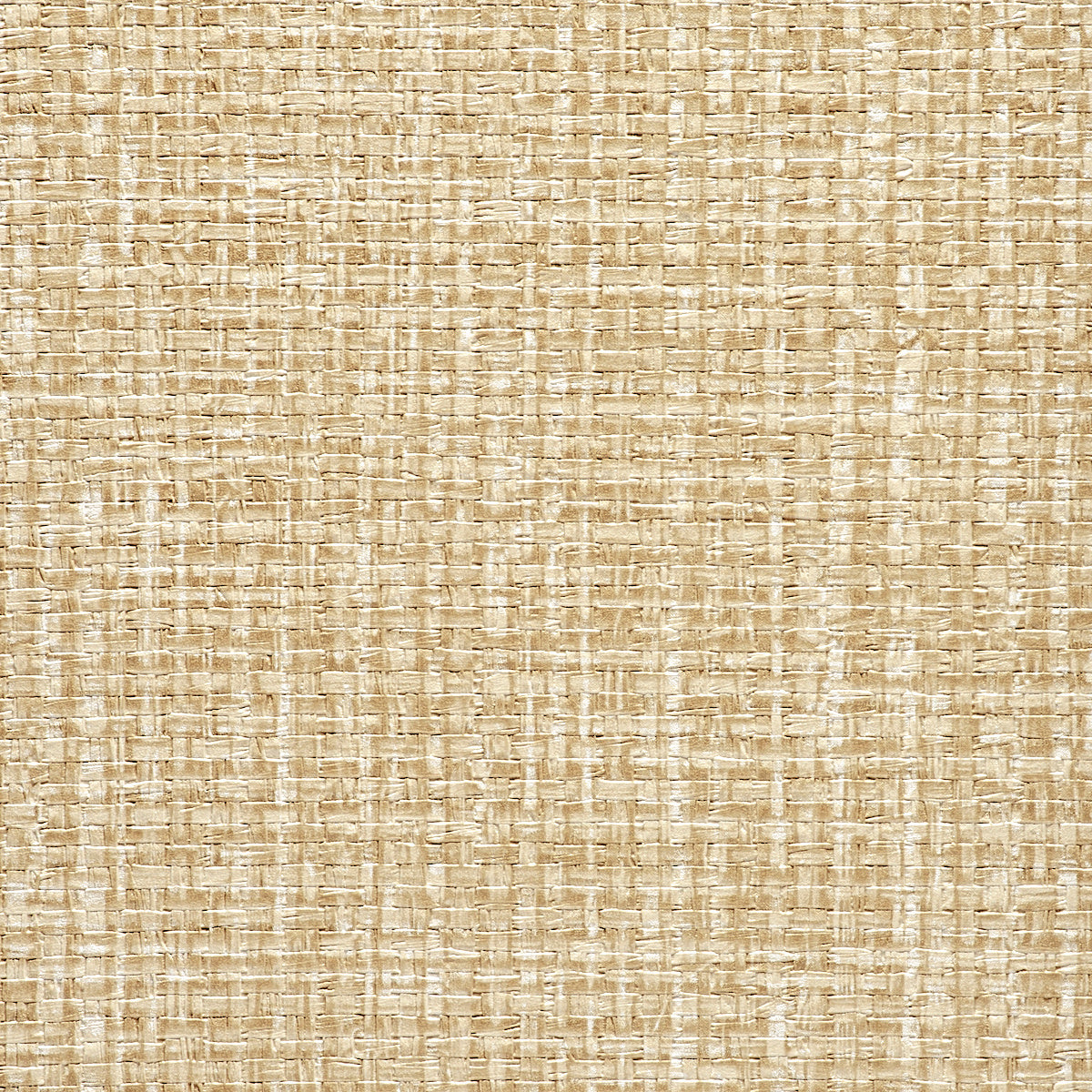 VINYL-GRASSLAND-GLACIER-PLAINS-PHILLIP-JEFFRIES-5970 - Phillip Jeffries Wallpaper Wallpaper